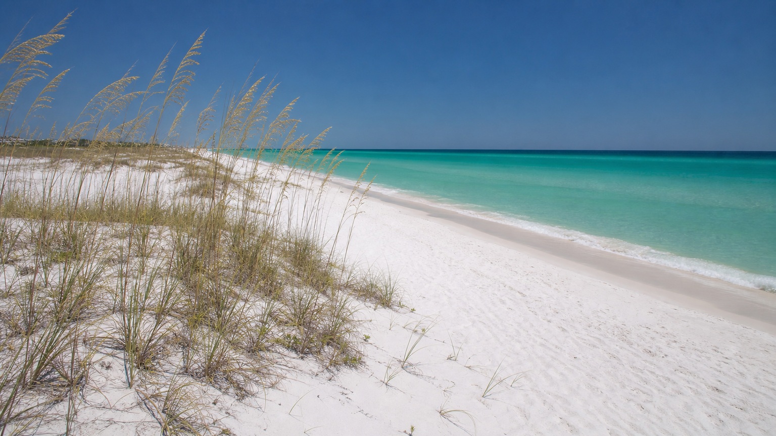 Wide shot of Henderson Beach State Park in Destin Florida with pristine white sand and natural sea oat dunes under a clear blue summer sky