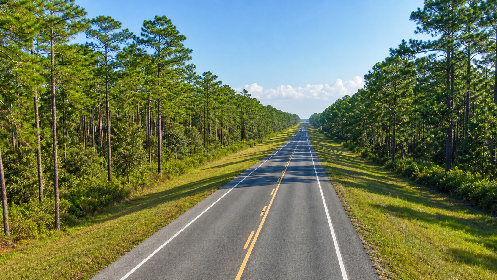 Open highway through Florida Panhandle pine forests on a clear summer morning heading toward the Emerald Coast