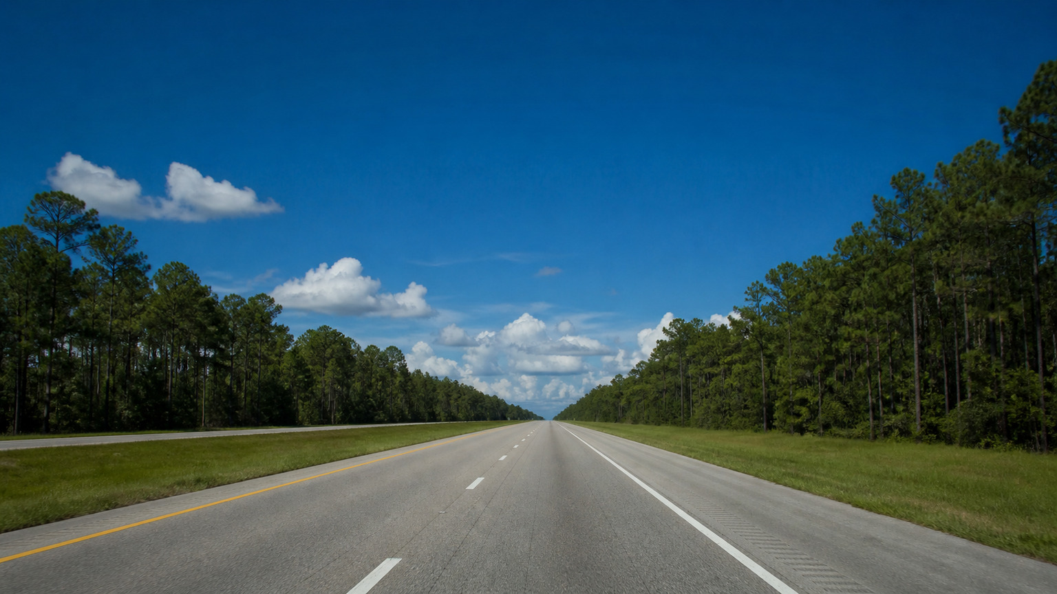 Wide open Florida highway through pine forest, long straight road stretching to the horizon under a deep blue summer sky