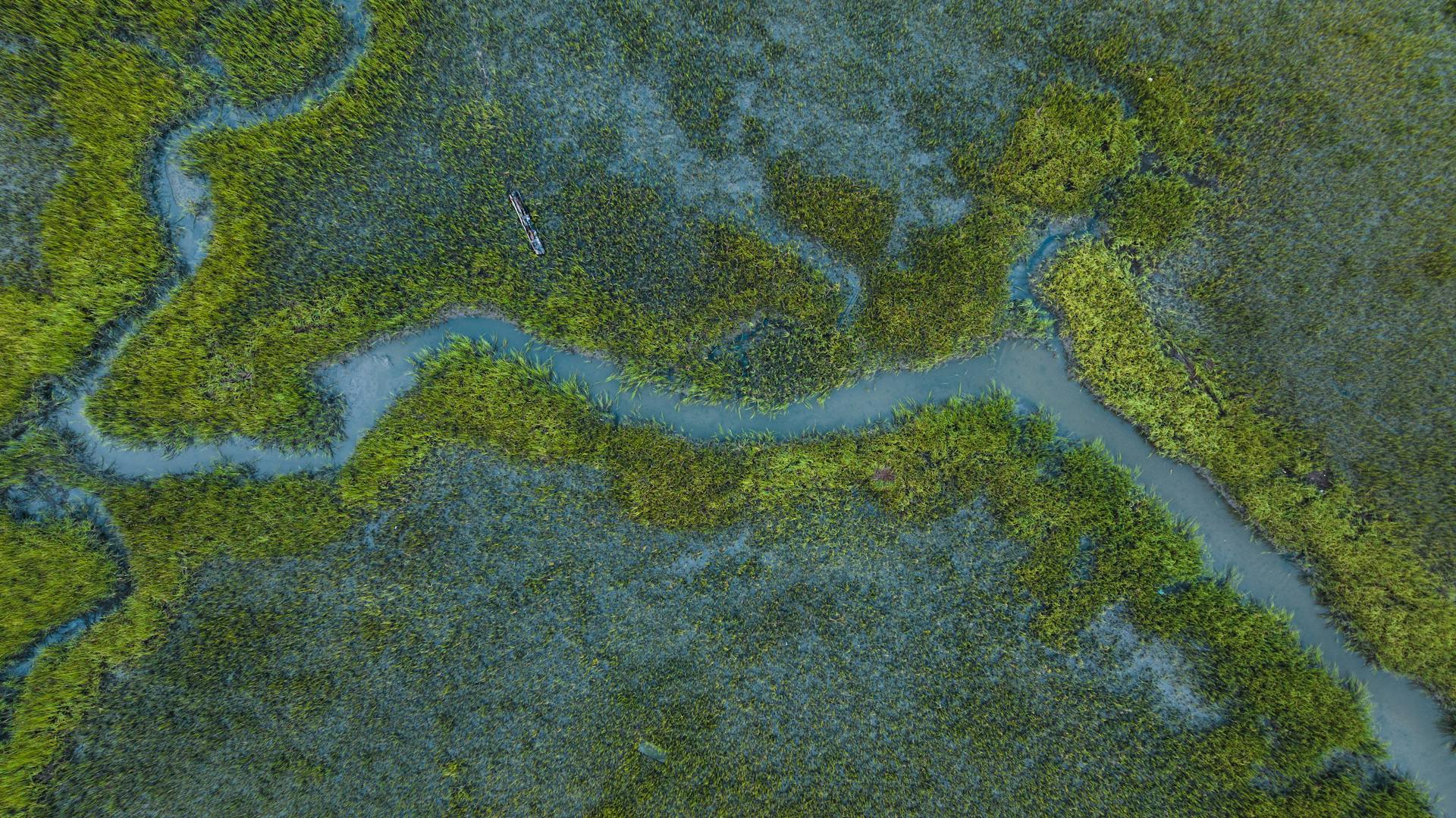 Aerial view of calm emerald backbay waterways and narrow channels behind Miramar Beach Florida