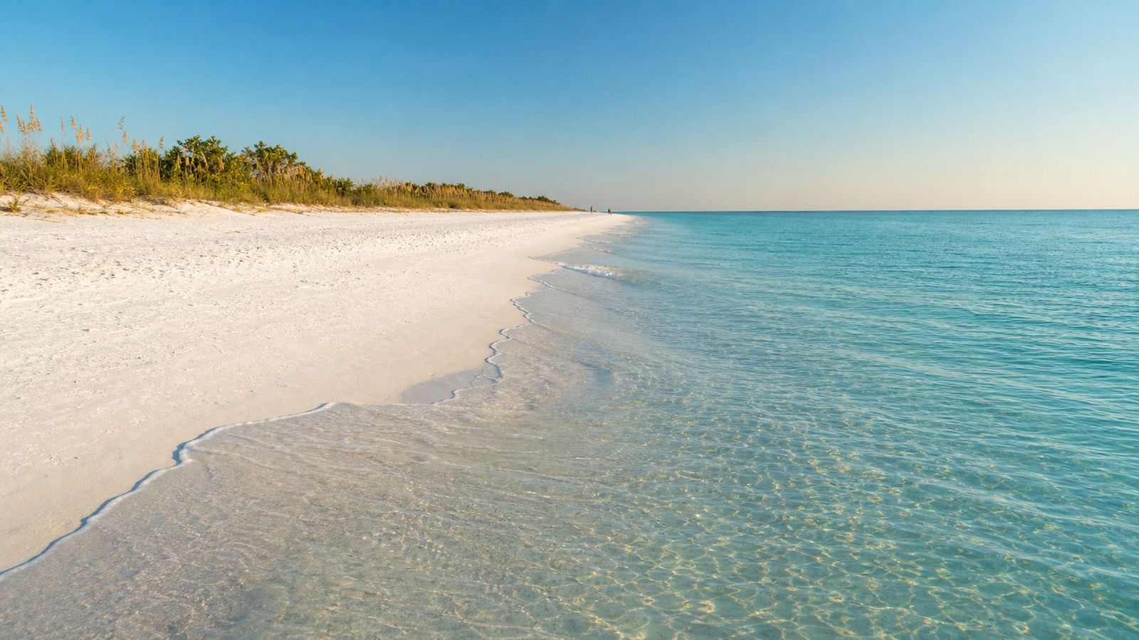 Nearly empty white sand beach at Henderson Beach State Park in Destin with sea oat dunes and clear turquoise water