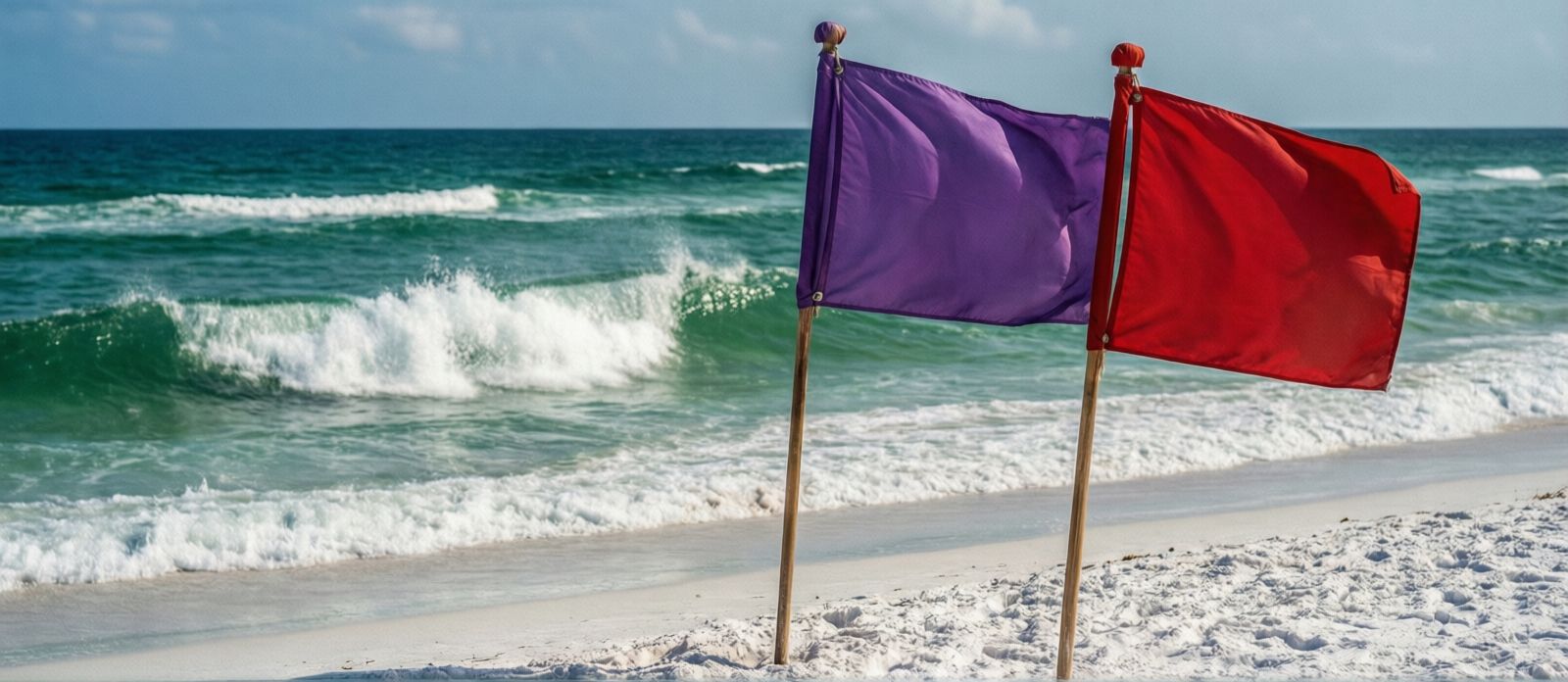 Purple and red beach warning flags flying on a Gulf Coast Florida beach with breaking waves in the background