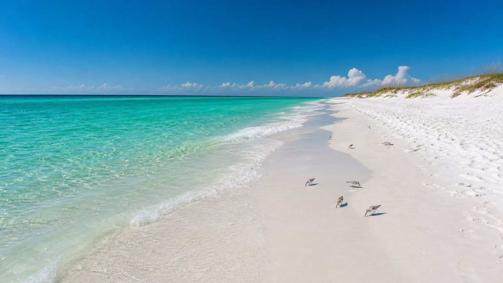 Pristine white quartz sand and emerald-green Gulf water on a Florida Panhandle beach