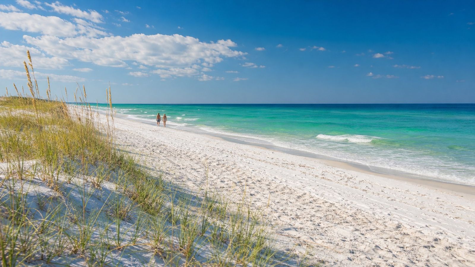 Undeveloped white sand beach with sea oats and emerald Gulf water on an isolated Florida Panhandle peninsula