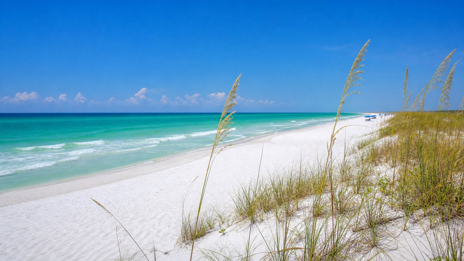 Destin Florida's sugar-white quartz sand beach with turquoise emerald Gulf water under clear summer sky