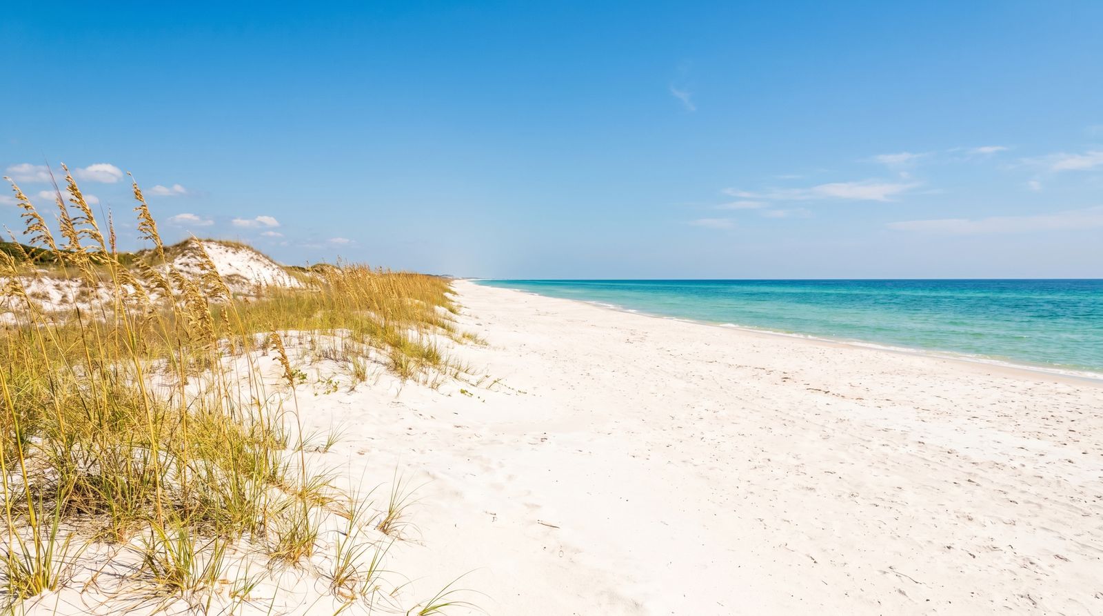 Wide undeveloped white sand beach at Gulf Islands National Seashore near Pensacola Florida with sea oats in the foreground and clear Gulf water